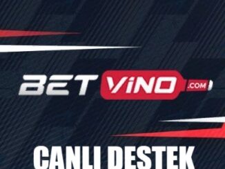 Betvino Canlı Destek